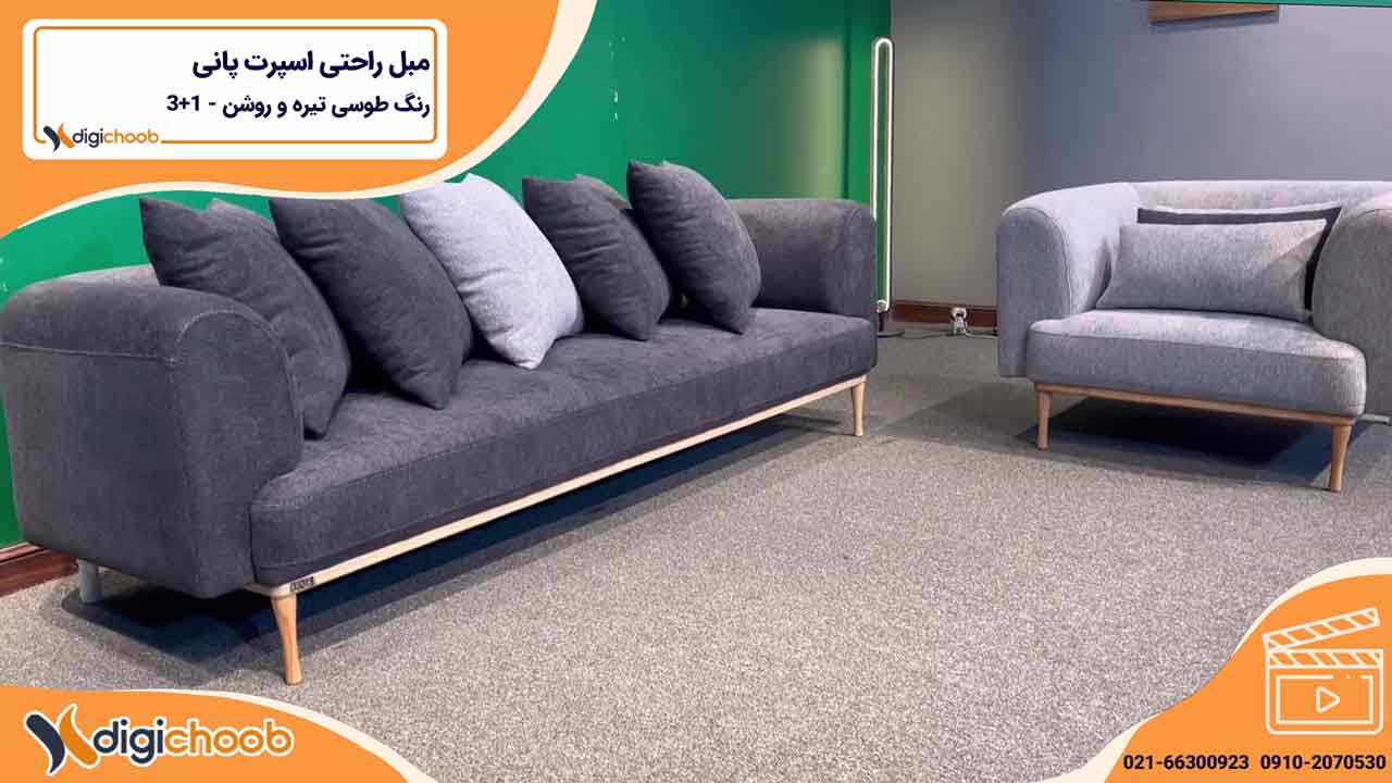 ویدیو نیم ست مبل راحتی پانی طوسی تیره و روشن